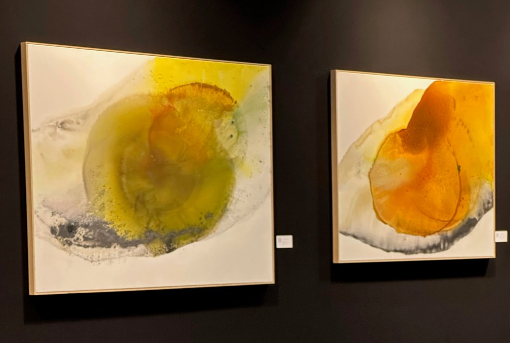 Salon d’Art, Courtrai&nbsp;2024